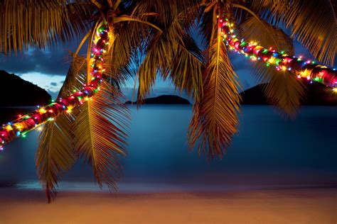 beach christmas gif|tropical xmas gif.